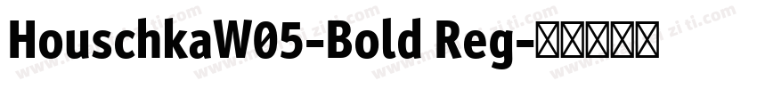 HouschkaW05-Bold Reg字体转换